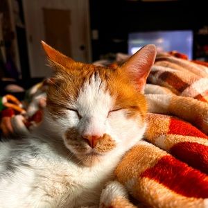 Meet your Posher, Carley